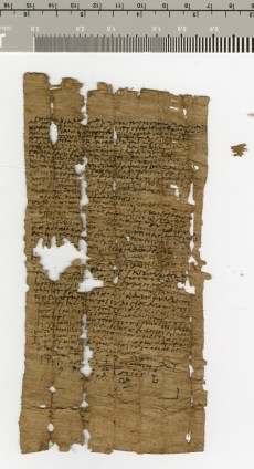 poxy-v0082-n5306-a-01-lores